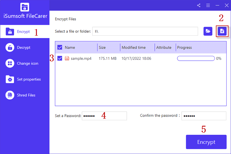 encrypt video with iSumsoft FileCarer