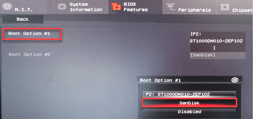 Bios boot option