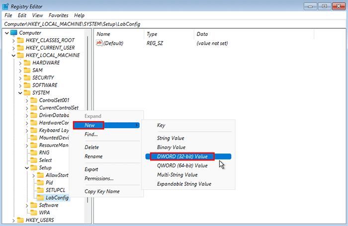 create a new value under LabConfig key