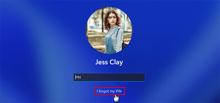 click I forgot my PIN on login screen