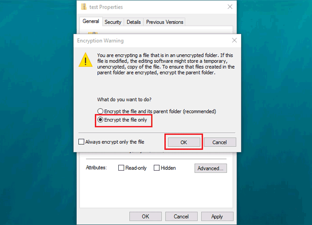 Encrypt the file only