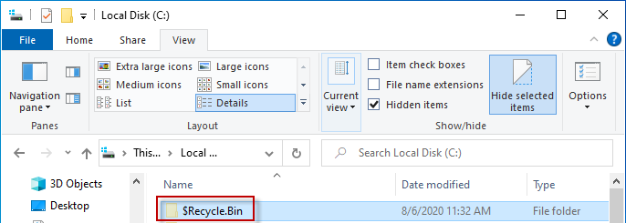 Find the hidden recycle bin