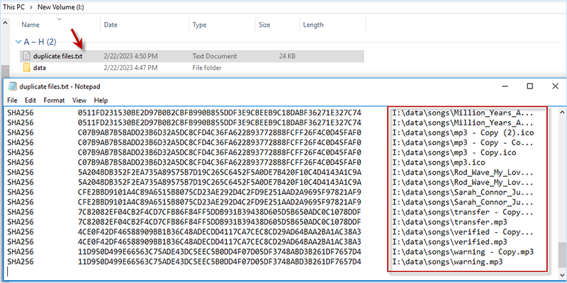 open exported list of duplicate files