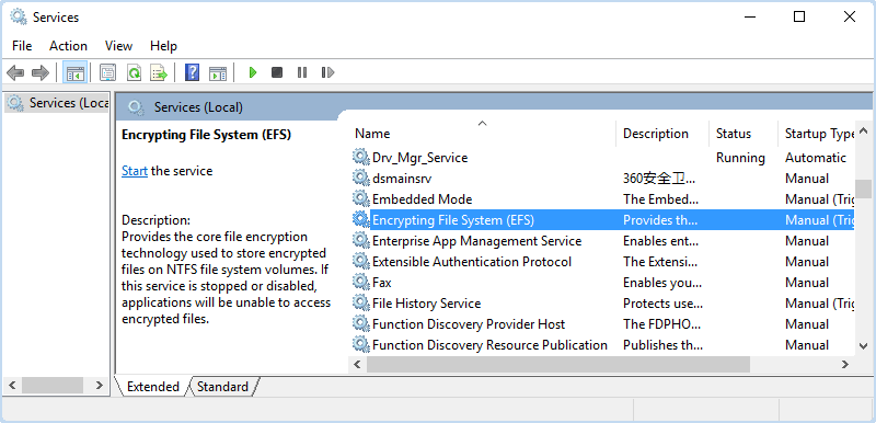 double-click on Encrypting File System