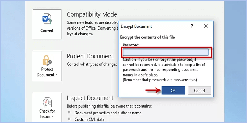 enter password to encrypt Word document containing jpeg files