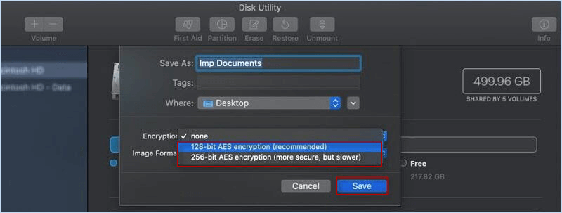 choose encryption level