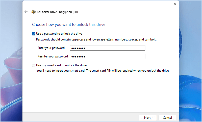 enter password in BitLocker