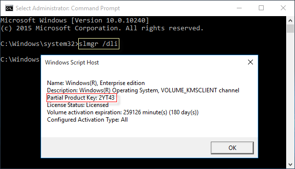 View partial product key