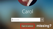 Windows 10 sign-in options missing