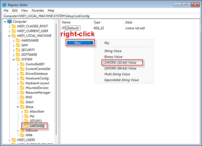 name the new key as LabConfig and create new value in it