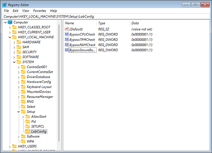 create BypassTPMCheck, BypassRAM and BypassSecureBoot Value files