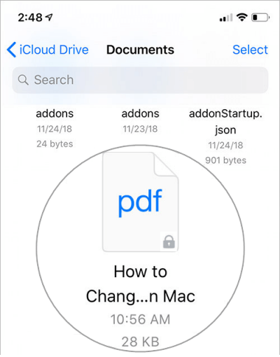 password for pdf file mac