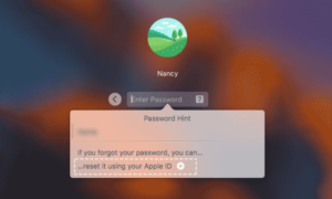 using appleid to reset password on macbook pro