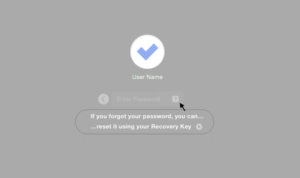 how to reset password on macbook air
